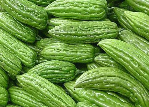 苦瓜一年四季都有吗 什么季节有卖