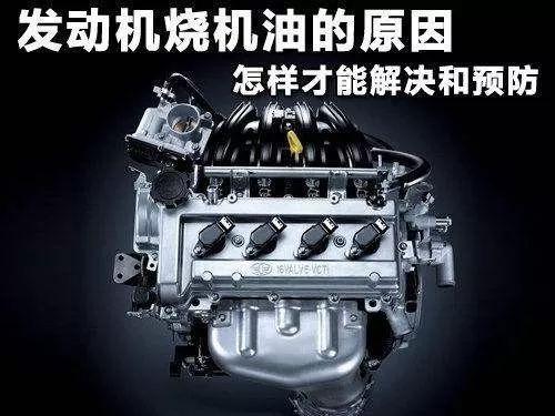 车烧机油是什么原因