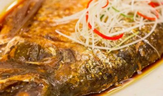 鲥鱼的家常烹饪方法 鲥鱼的家常做法