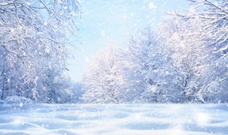 致自己立冬的句子 2023写给立冬唯美句子