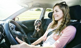 etc账单怎么查询 etc账单如何查询