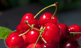 大樱桃能冷冻保存吗 大樱桃能不能冷冻保存