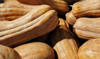 长南瓜怎么挑知道是甜的 长南瓜如何挑选甜的呢