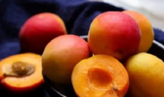 杏仁泡多少天能发芽 杏仁泡几天能发芽