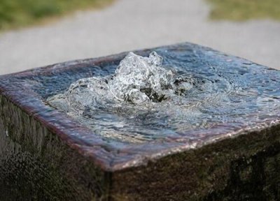 浇兰花用什么水好 哪些水不可以浇兰花