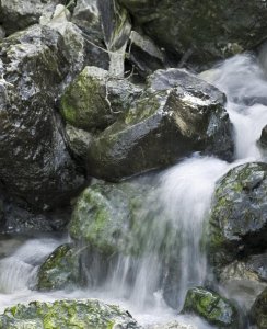 水的分类有哪几种 日常生活中常见的水的组成类型