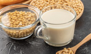 女性常喝豆浆的好处和坏处 女性常喝豆浆对身体有哪些好处和坏处