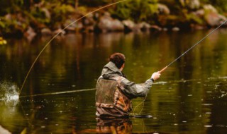 钓草鱼用什么饵最好 钓草鱼用哪些饵最好