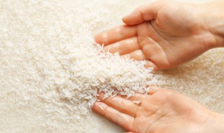 米能生吃吗 米适合直接生吃吗