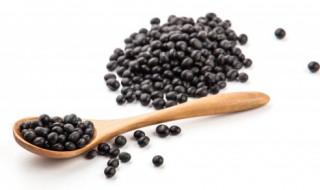 新鲜黑豆怎么做豆腐好吃 新鲜黑豆做豆腐的做法步骤