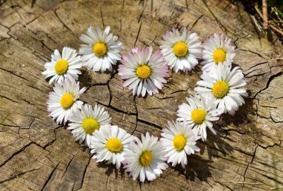 白羊座最放不下的星座排名 白羊座最难放弃的5大星座