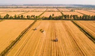 平山县民政局管理低保 平江县低保申请办理流程