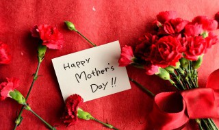 康乃馨几月份开花 康乃馨多少月份开花