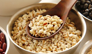 喝薏米水可以减肥吗 喝薏米水有减肥效果吗