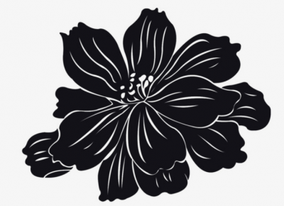 黑色莲花象征意义 黑色莲花代表什么象征意义