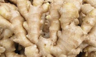 姜发芽了以后还可以吃吗 姜发芽了以后还能不能食用