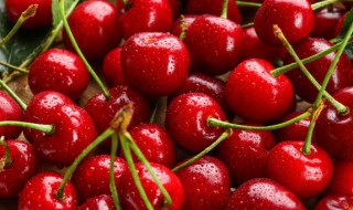 新鲜车厘子的挑选方法 新鲜车厘子怎么挑选