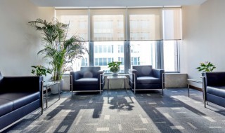 狭窄房间放什么植物招财 狭窄房间可以放哪些植物招财