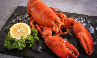 龙虾要焯水吗 龙虾需要先焯水吗