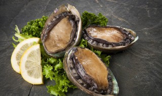 鲍鱼放盐水里能活吗 鲍鱼可以用盐水养吗