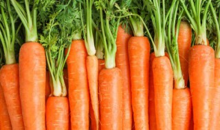 富含va的食物有哪些 富含va的食物推荐