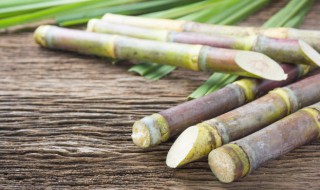 晚上吃甘蔗会胖吗 甘蔗吃了容易长胖吗