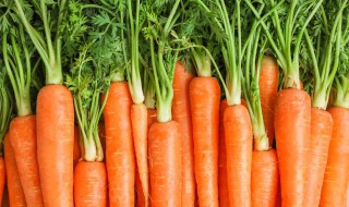 东北什么菜炒肉好吃 东北哪些菜炒肉好吃