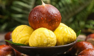 生板栗怎么挑才新鲜的 生板栗挑选新鲜的有什么技巧