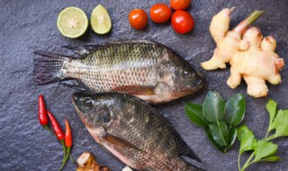 怎样挑选新鲜鱼 挑选新鲜鱼怎么做