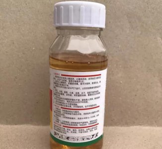 什么药可以把草连根打死 用什么药可以打死杂草连草根