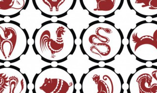 生肖牛适合佩戴什么玉 属牛适合佩戴什么首饰