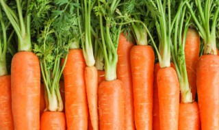 地瓜和胡萝卜可以同时吃吗 地瓜和胡萝卜能不能同吃呢