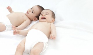 属老鼠几月出生最好命运 属老鼠什么时候出世最好