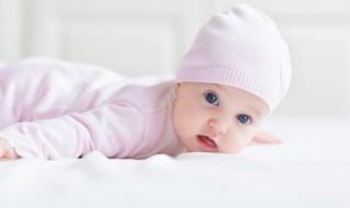 猪宝宝几月出生最好命 猪宝宝什么月份出世好