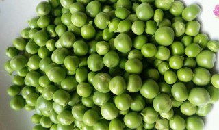 青豆要焯水吗 青豆要不要焯水