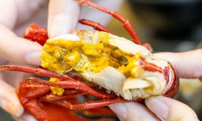 龙虾脑袋里面的黄黄的东西是什么 龙虾上黄黄的能吃吗