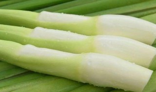 茭白如何储存保鲜时间长 茭白怎样储存保鲜时间长