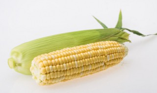 玉米不发霉怎么保存 玉米如何保存