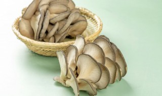 吃平菇的好处和坏处 吃平菇对人体有哪些好处和坏处
