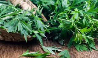 艾叶一次吃多少合适 艾叶一次可以吃多少呢