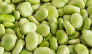 去壳的蚕豆如何保鲜储存 剥好的蚕豆怎么保存