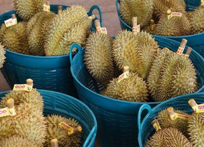 榴莲长在哪里 榴莲生长在哪里