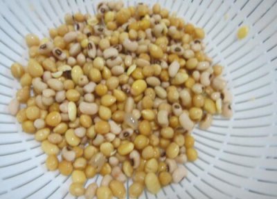 黄豆肥怎么养君子兰狂长到爆盆 君子兰用黄豆做腰肥时用多少合适