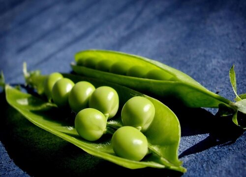 青豆的保存方法