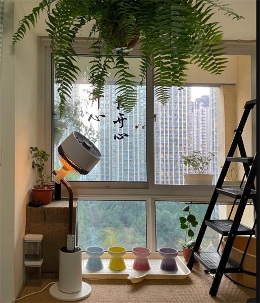 循环扇跟普通电风扇哪个凉快