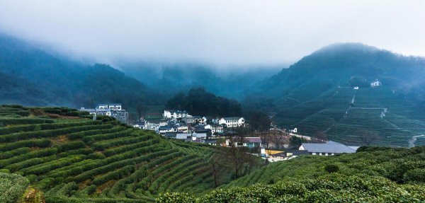 龙井茶产地是哪里最好