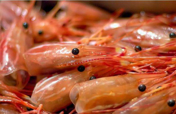 活蹦乱跳的虾怎么处理