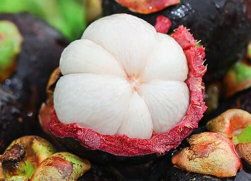 山竹含糖量高吗