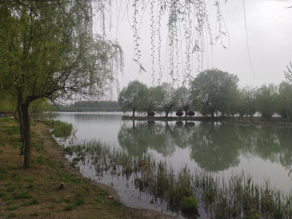 情绪abc理论举例说明