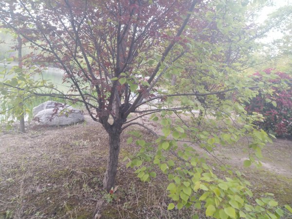 情绪abc理论举例说明